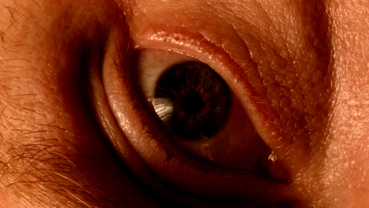 Photo du film : A Fantastic Fear of everything