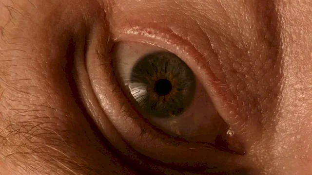 Photo 7 du film : A Fantastic Fear of everything
