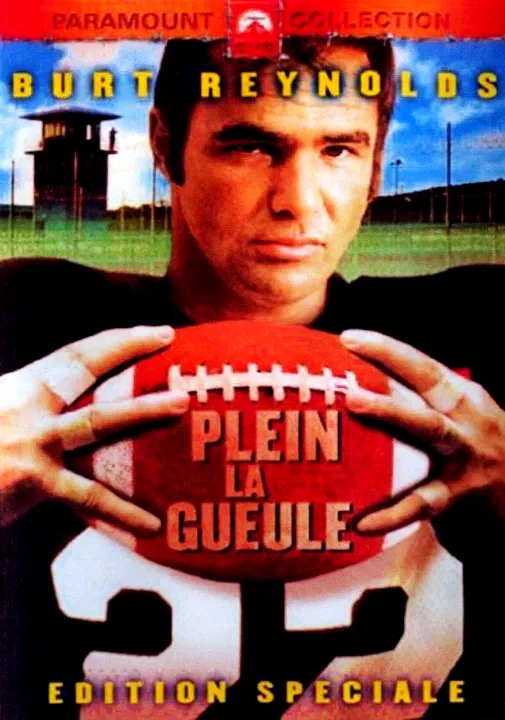 Affiche du film : Plein la gueule