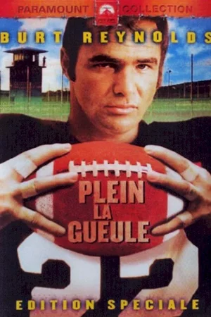 Affiche du film : Plein la gueule