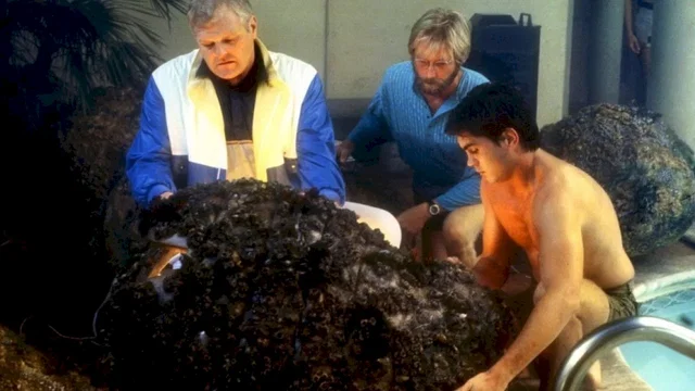 Photo du film : Cocoon