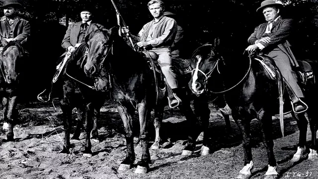 Photo du film : Le mercenaire de minuit