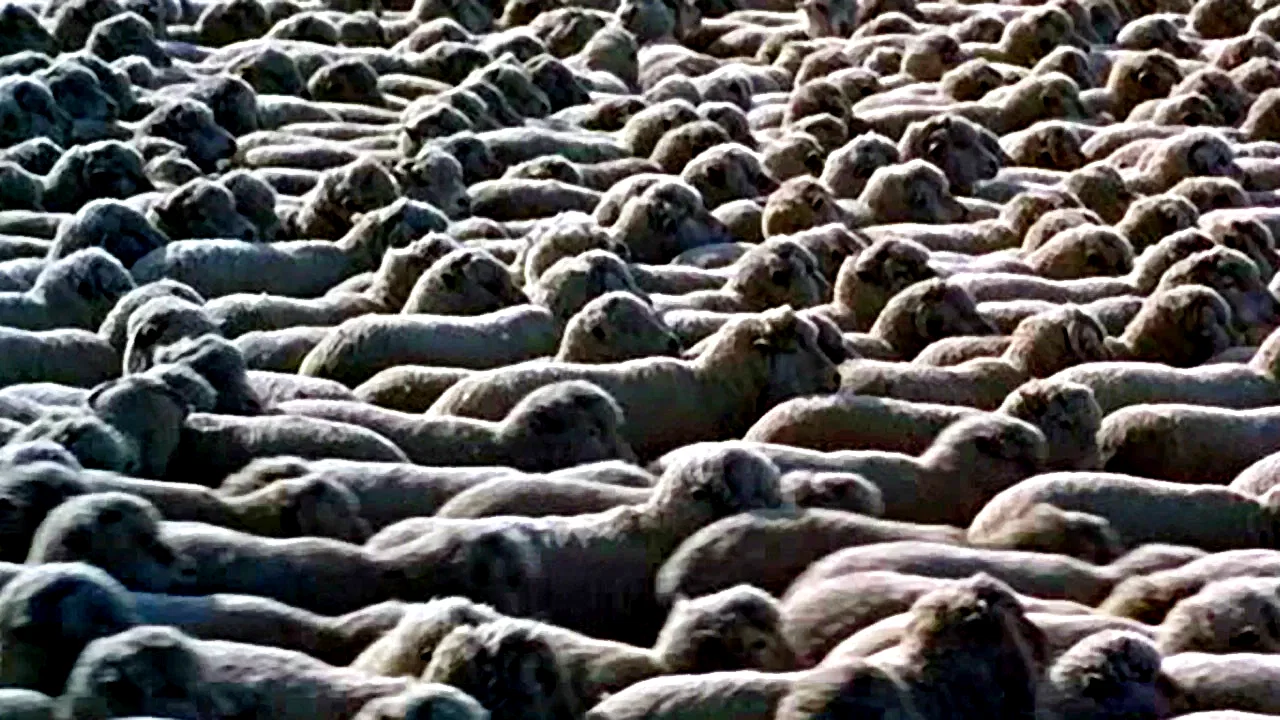 Photo 4 du film : Horizons sans frontières