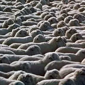Photo du film : Horizons sans frontières