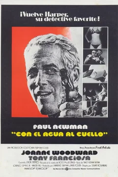 Affiche du film La toile d'araignee