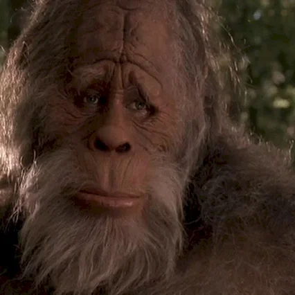 Miniature photo du film : Bigfoot et les henderson