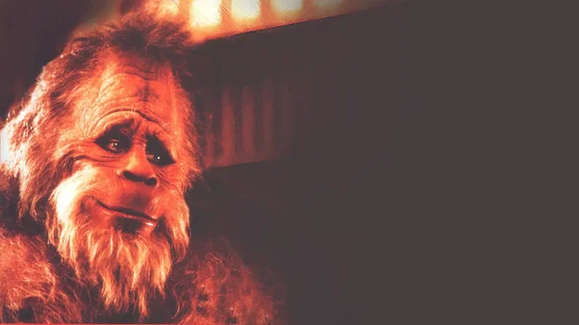 Photo 3 du film : Bigfoot et les henderson