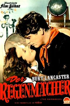 Affiche du film Le faiseur de pluie