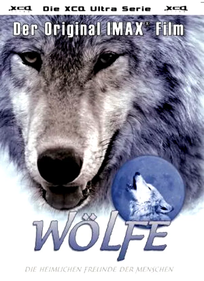 Affiche du film : Les loups