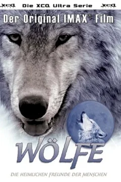 Affiche du film Les loups