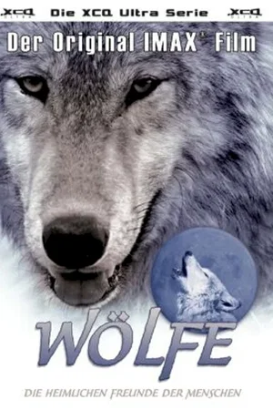 Affiche du film : Les loups