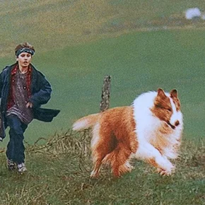 Photo du film : Lassie