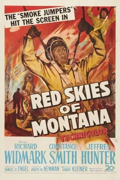 Affiche du film Duel dans la foret