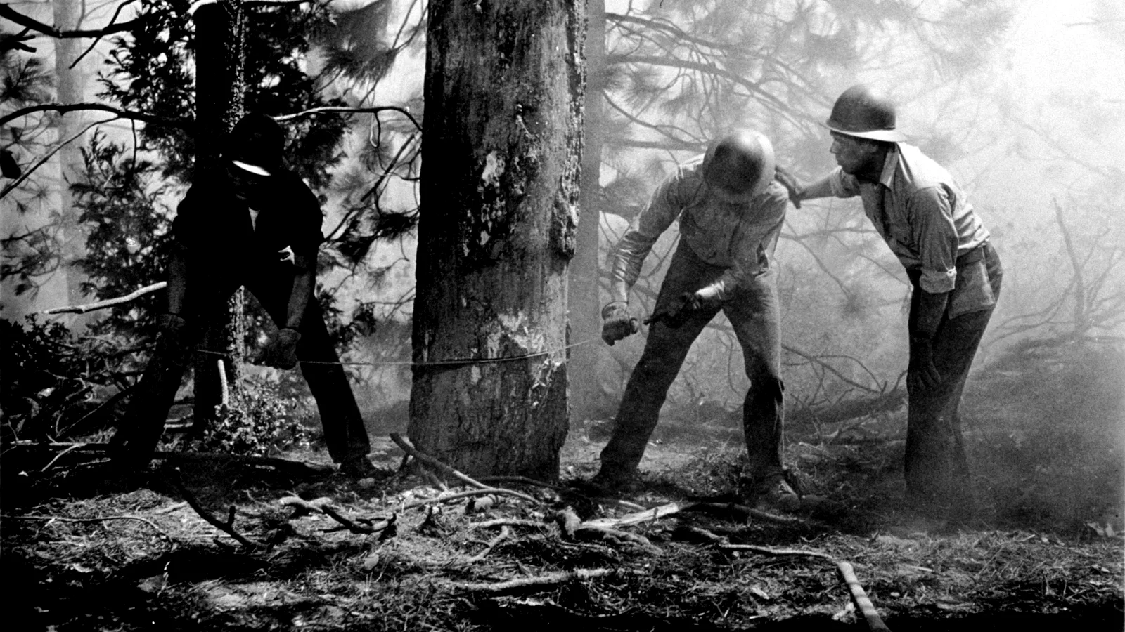 Photo 2 du film : Duel dans la foret