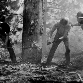 Photo du film : Duel dans la foret