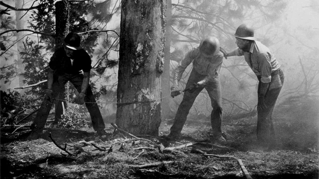 Photo 2 du film : Duel dans la foret