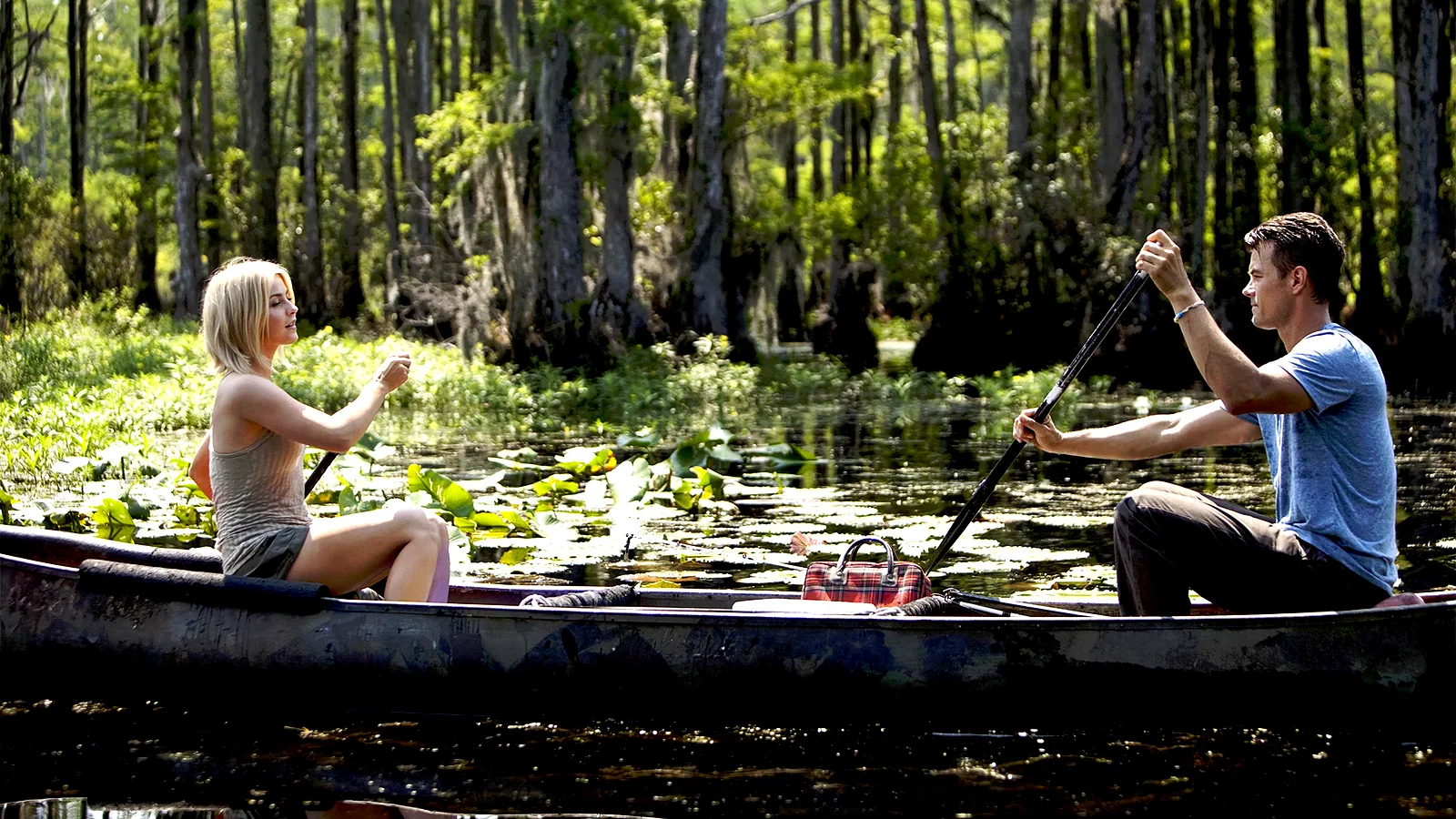 Photo 3 du film : Safe Haven