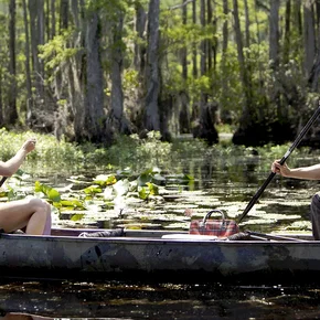 Photo du film : Safe Haven