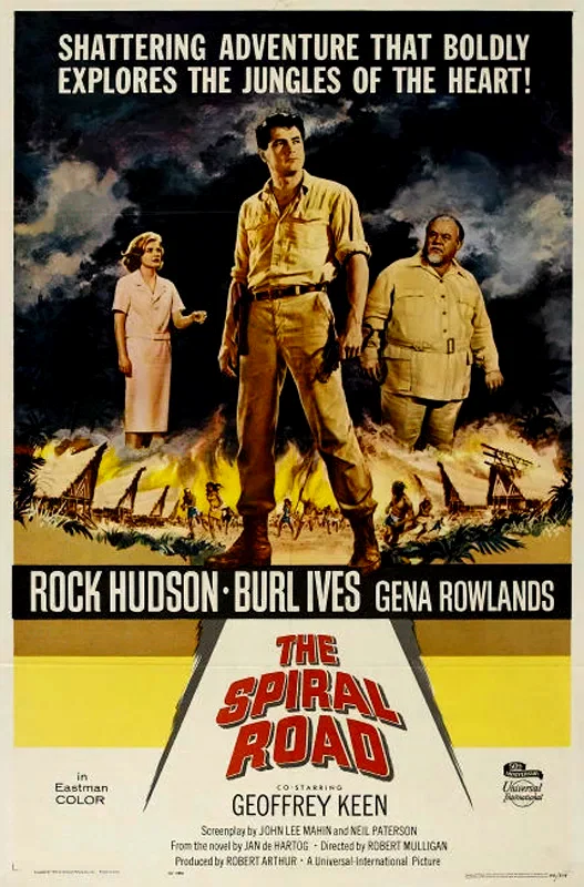 Affiche du film : L'homme de borneo