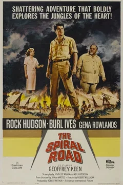 Affiche du film L'homme de borneo