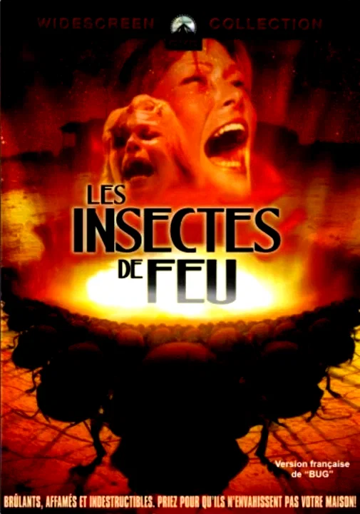 Affiche du film : Les insectes de feu