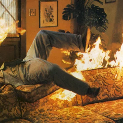 Miniature photo du film : Les insectes de feu