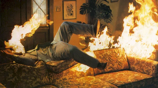 Photo 5 du film : Les insectes de feu