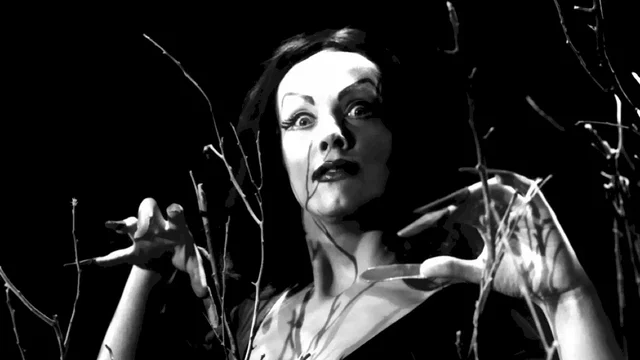 Photo du film : Plan 9 from outer space