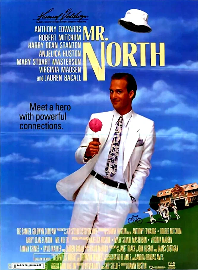 Affiche du film : Mr north