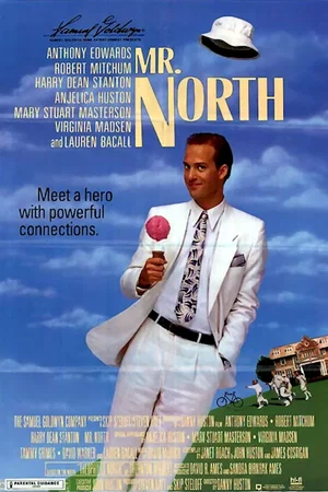 Affiche du film : Mr north