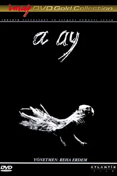 Affiche du film A ay