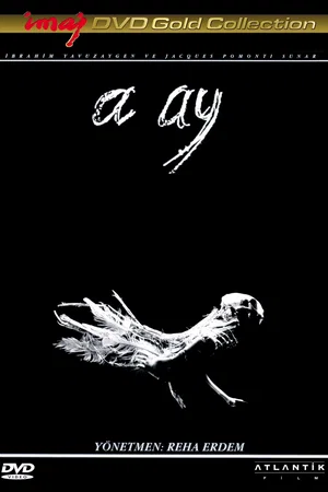 Affiche du film : A ay