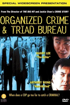 Affiche du film Traque sur la ville