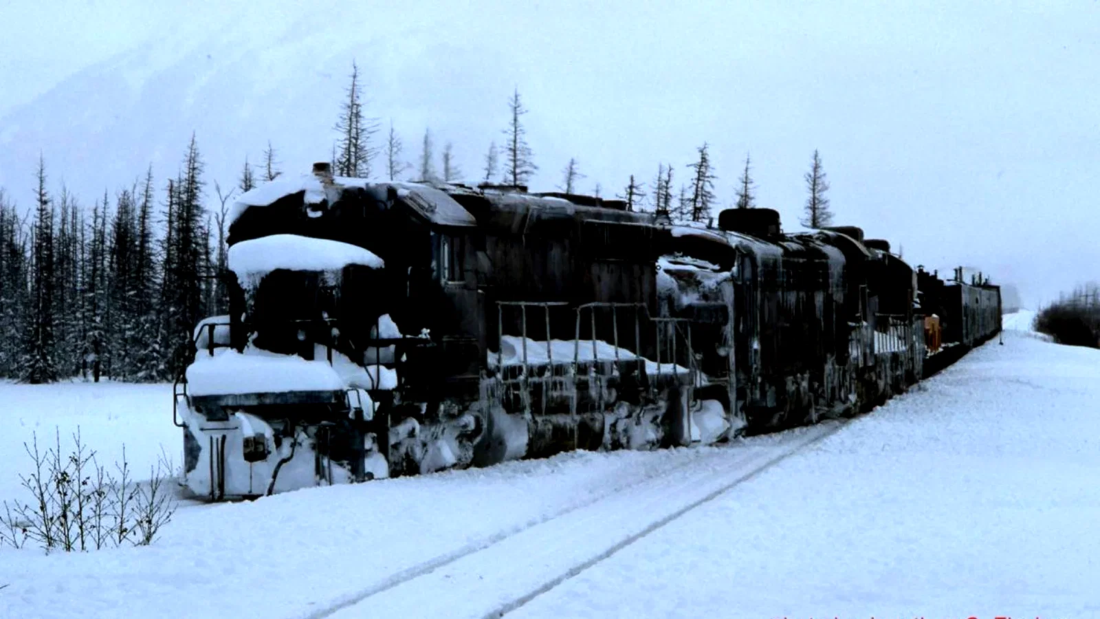Photo 2 du film : Runaway train 