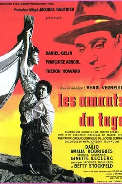Affiche du film Les amants du Tage