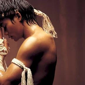 Photo du film : The warrior