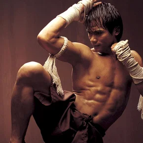 Photo du film : The warrior