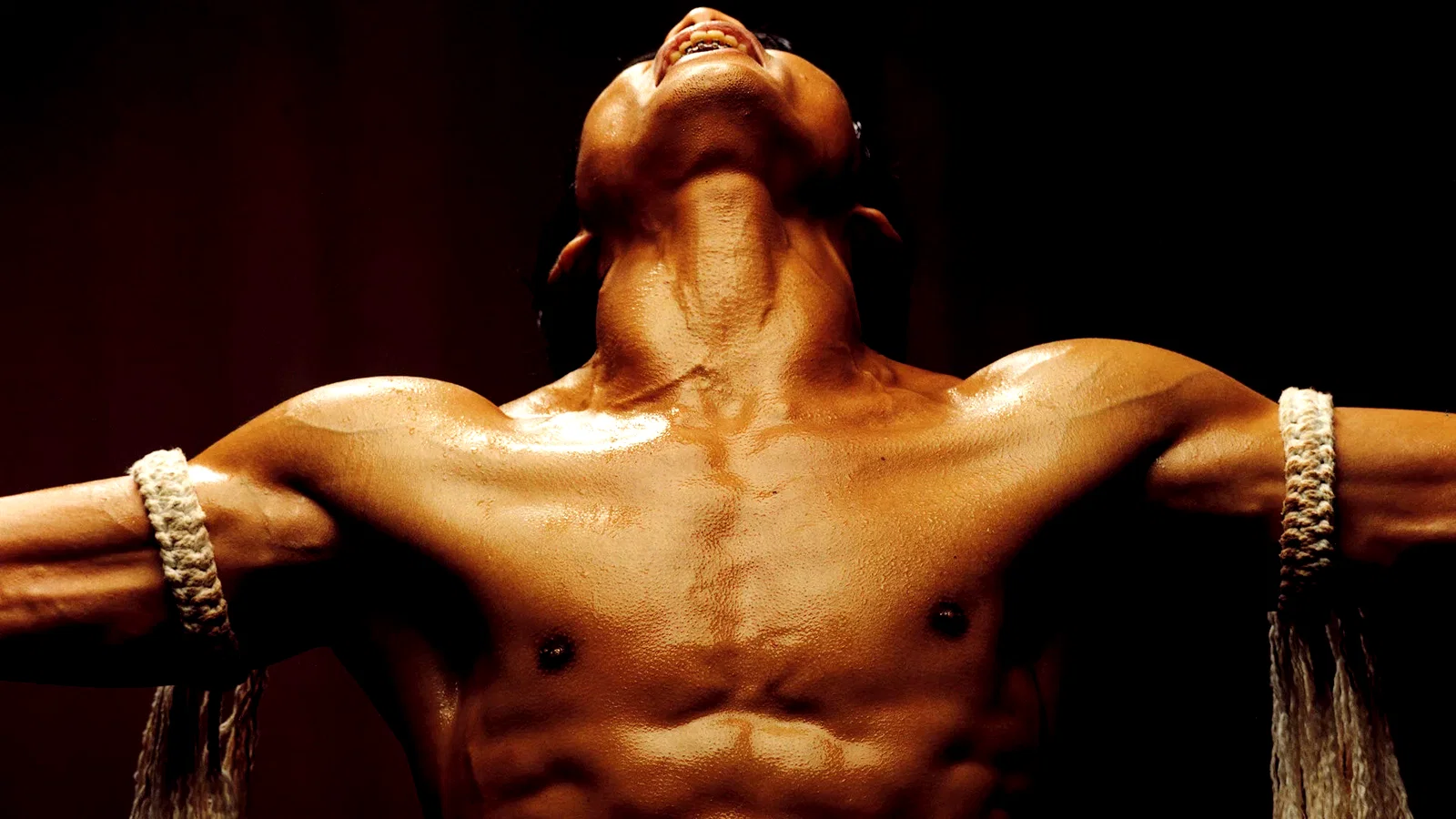 Photo 4 du film : The warrior