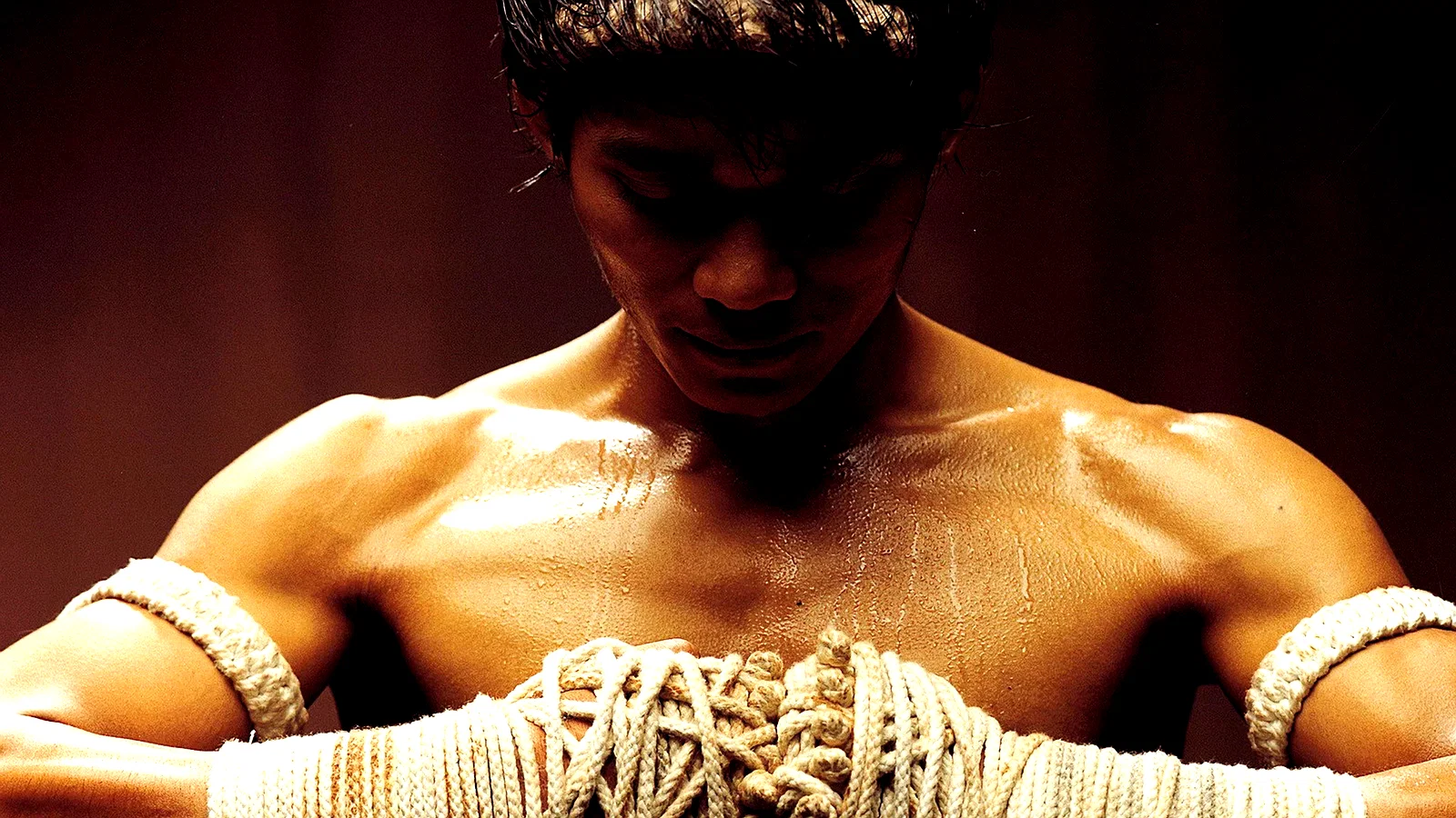 Photo 5 du film : The warrior