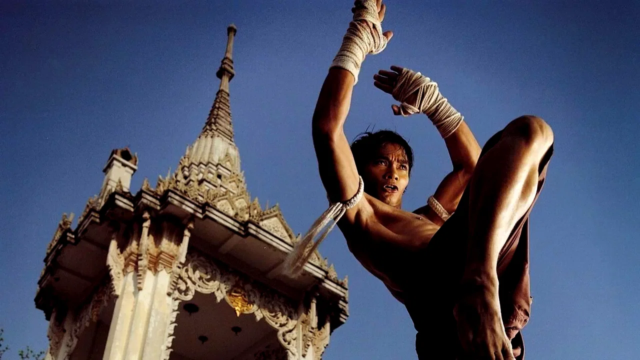 Photo 7 du film : The warrior