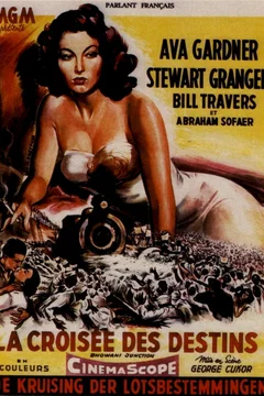 Affiche du film La croisee des destins