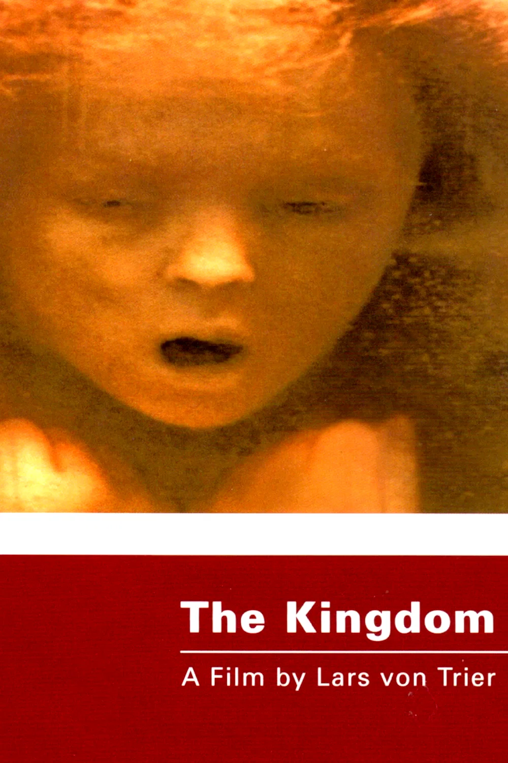 Affiche du film : The Kingdom