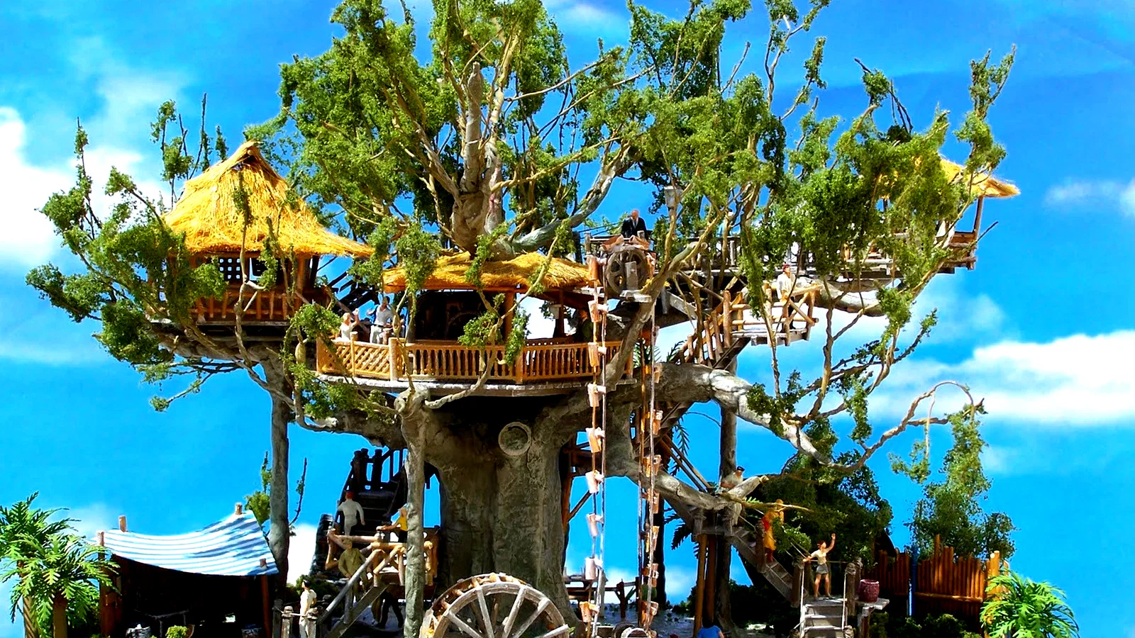 Photo 5 du film : Les robinsons des mers du sud