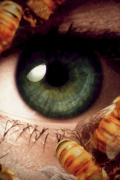 Affiche du film Candyman, day of the dead