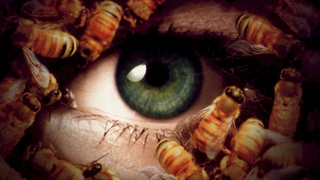 Affiche du film : Candyman, day of the dead