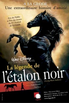 Affiche du film La légende de l'étalon noir