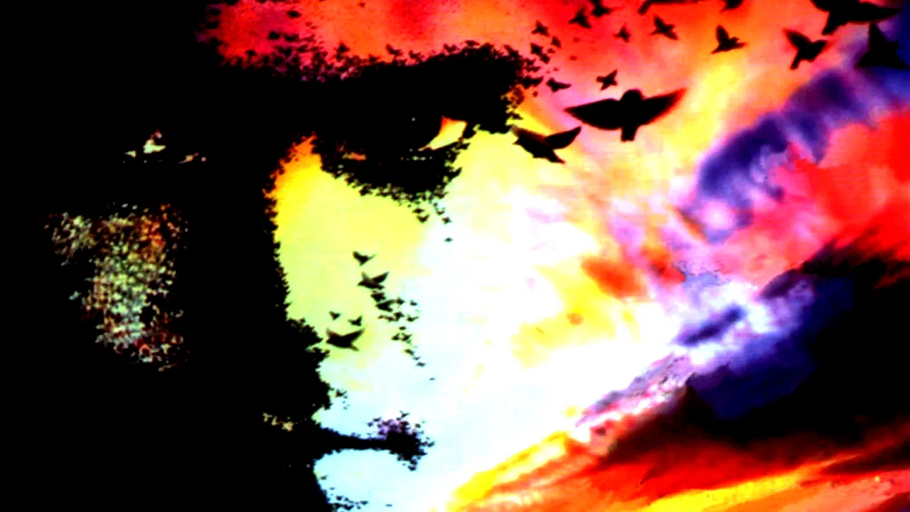 Photo 4 du film : La part des tenebres
