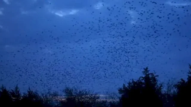 Photo 9 du film : La part des tenebres