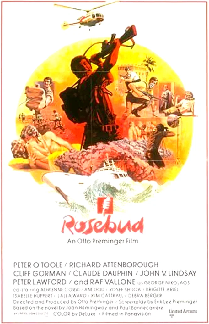 Affiche du film : Rosebud