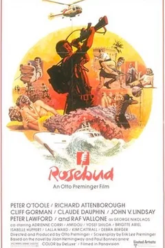 Affiche du film Rosebud